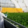 Accessoires Agro-Alimentaire France
